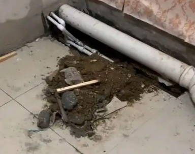 高新区卫生间漏水检测哪家好
