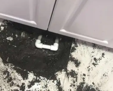 高新区查漏水哪家好